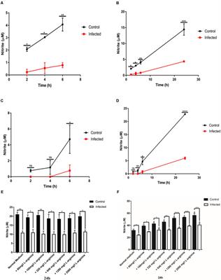Inhibition of Nitric Oxide Production in Activated Macrophages Caused by Toxoplasma gondii Infection Occurs by Distinct Mechanisms in Different Mouse Macrophage Cell Lines